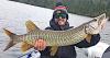 Spectacular Tiger Muskie Fishing at Fireside Lodge in Ontario Canada