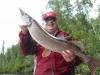 big northern pike lodge in canada