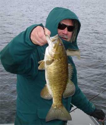 BIG Smallmouth Bass Ontario
