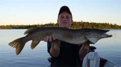 big northern pike at Fireside Lodge Ontario