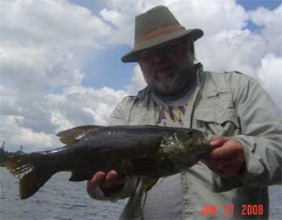 Ontario smallmouth bass are big