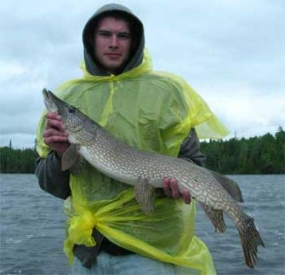 tackle for big northern pike fishing