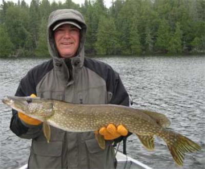 fish northern pike in Canada