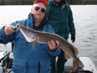 Northern Pike fishing trips near Sioux Lookout