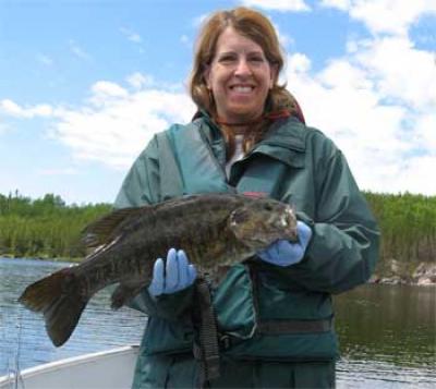 fishing trophy lodge for smallmouth bass