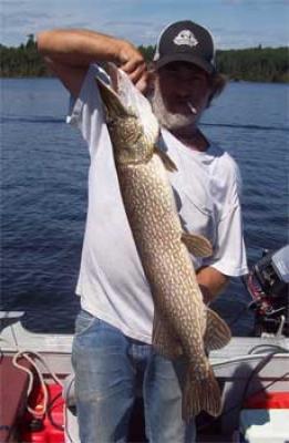 tackle shop with northern pike