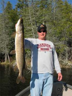 big northern pike american plan package