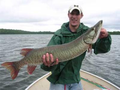 fishing for Muskie in Ontario Canada