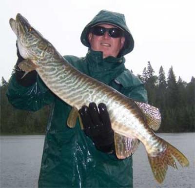 fishing tiger muskie in Ontario Canada