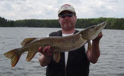 fabulous northern pike fishing in Ontario