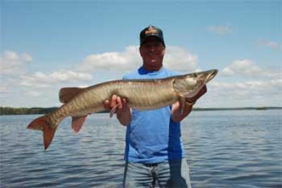 muskie trophy fishing near Sioux Lookout