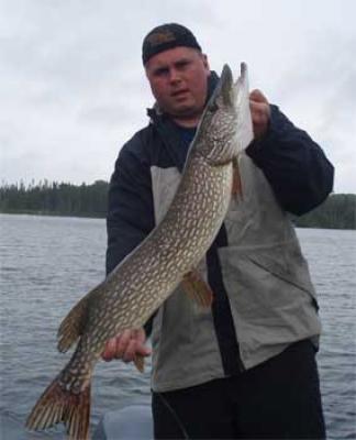 american plan vacation for northern pike