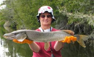 rental boats for northern pike fishing
