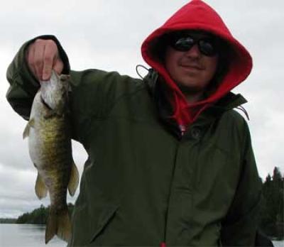Pre Spawn Smallmouth Bass in Sioux Lookout