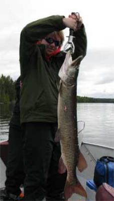 Post Spawn Muskie fishing tackle