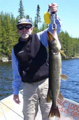 big northern pike caught in Canada