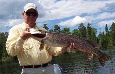 master angler award northern pike
