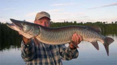 exciting muskie waters Ontario Canada