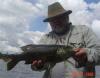 Ontario smallmouth bass are big