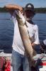 tackle shop with northern pike