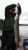 Post Spawn Muskie fishing tackle